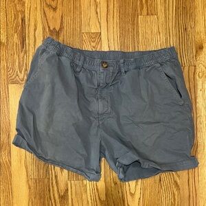 Men's Gray Blue Chubbies  Shorts 5.5” inseam